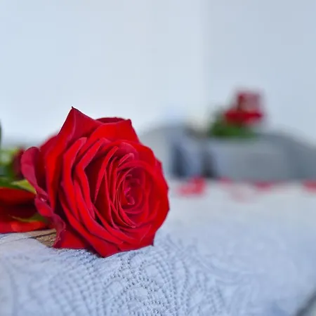 Ruins Luxury 폼페이