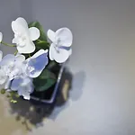 Bed & Breakfast Ruins Luxury