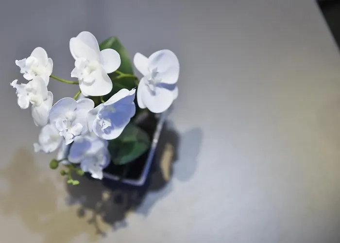 Bed & Breakfast Ruins Luxury